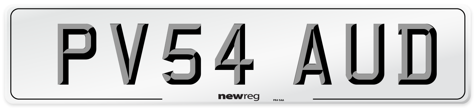 PV54 AUD Number Plate from New Reg